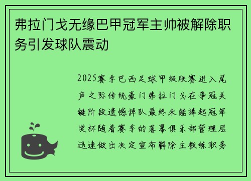 弗拉门戈无缘巴甲冠军主帅被解除职务引发球队震动 弗拉门戈无缘巴甲冠军主帅被解除职务引发球队震动